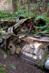 A close-up view of an old vehicle wreck, overgrown with moss and vegetation, illustrating nature's reclamation of man-made materials in a serene forest environment.