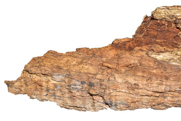 Dry Wooden Fragment with Jagged Edges and Natural Decay
