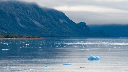 A tranquil view of calm waters filled with icebergs, framed by stunning mountainous landscapes, creating a sense of serenity and the beauty of untouched nature.