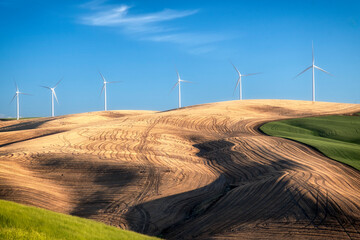 A field of wind turbines stands tall against rolling hills, symbolizing renewable energy and sustainable living while showcasing the blend of nature and technology.