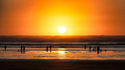A stunning sunset casts golden hues over calm ocean waves, highlighting silhouettes of people enjoying the beauty of nature on a serene beach at dusk.
