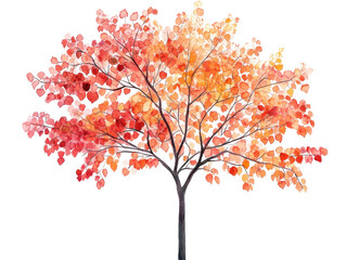 Fototapeta premium Isolated Watercolor Autumn Tree Painted with Red and Orange