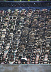 roof tiles on a roof
