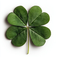 Lucky Four-Leaf Clover - Rare Lucky Four-Leaf Clover for Good Fortune | Symbolic and Natural Lucky Four-Leaf Clover for Decoration and Gifts