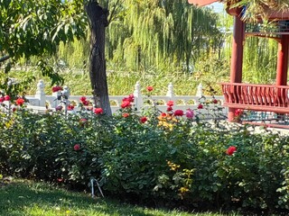 Obraz premium garden with flowers