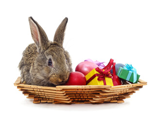 Rabbit in easter basket.