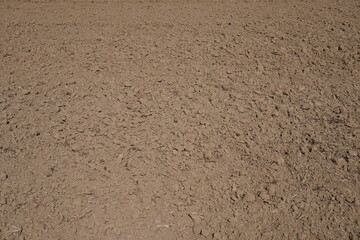 The close-up view topsoil, the uppermost layer of soil