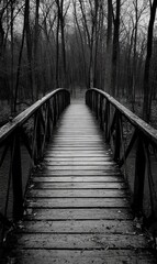 Wooden bridge through dark forest