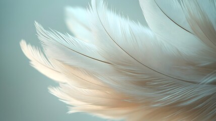 Naklejka premium Monochromatic close-up of a soft feather showcasing delicate details and textures in a serene setting