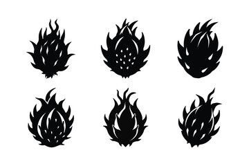 Dragon Fruit – Hylocereus undatus silhouette vector illustration