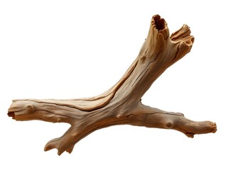 Fototapeta premium Artistic Driftwood Branch on White Background