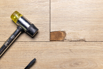 The Interlocking laminate floor is chip or crack due to scratches and impact. Repairing a damaged laminate floor concept.
