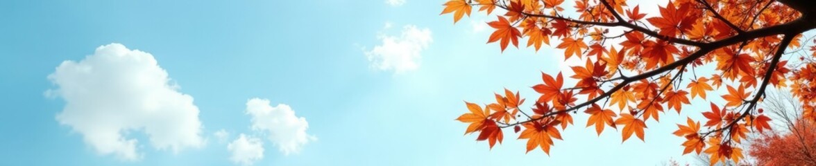 Branches of Quercus robur against blue sky on white background, quercus robur, leaves, background