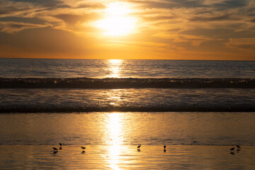This serene sunset image showcases golden hues reflecting over calm ocean waves, creating a peaceful and picturesque scene that evokes feelings of tranquility and relaxation.