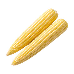 Fresh baby corn on transparency background, perfect for culinary use