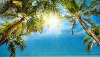 green palm tree branches blue sky background bright shiny sun rays palm leaves sunlight glow beautiful nature sea beach landscape summer holidays