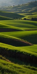green field and blue sky