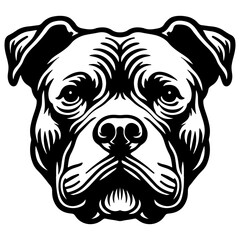 Pitbull Dog Head Illustration.
