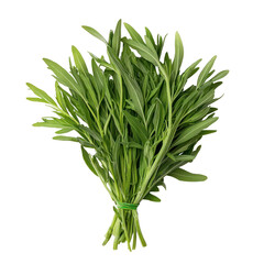 Fototapeta premium Fresh vegetable harvest green herbs collection local market high-quality photography outdoor setting close-up view