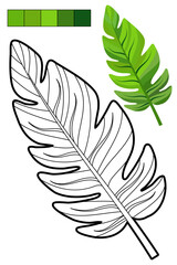 Obraz premium Coloring page whit tropical leaf for coloring book about exotic plants. Contour, colorful sample, color palette. For preschool and early elementary school children, to kid enjoy jungle vibes
