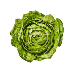 Fototapeta premium Harvesting fresh vegetables lush green lettuce urban garden food photography vibrant city top-down viewpoint