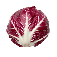 Obraz premium Harvesting fresh vegetables red cabbage farming techniques in nature's bounty vibrant and healthy environment