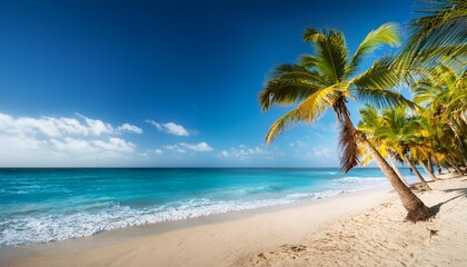 Fototapeta premium amazing tropical coconut palm trees over the blue sea of carribbean beach