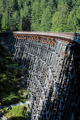 A striking view of a wooden bridge structure elegantly arching over diverse foliage, exemplifying intricate craftsmanship and the synergy between nature and human engineering.