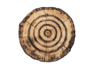 Isolated Cross-Section of Tree Trunk with Target Design