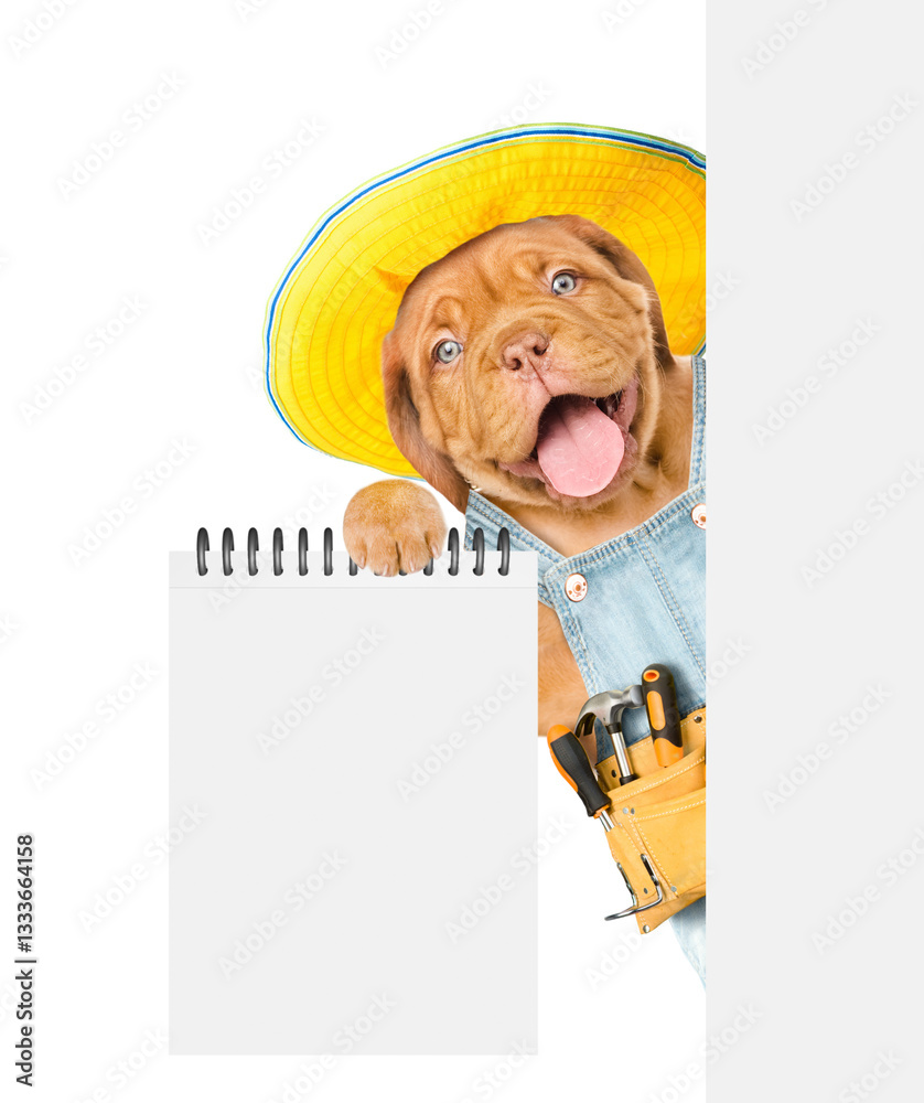 Poster happy mastiff puppy wearing denim overalls with tool belt shows empty list from behind blank white b