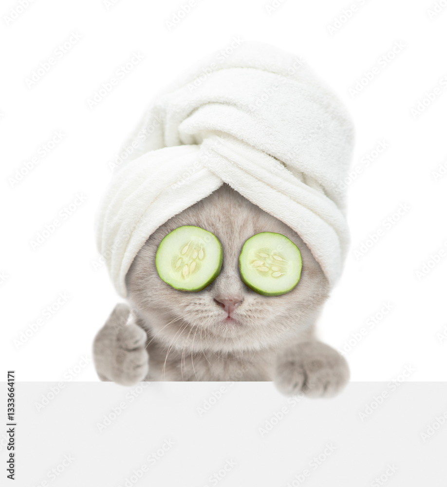Poster cute kitten with towel on it head and with slices of cucumber on it eyes looks above blank white ban