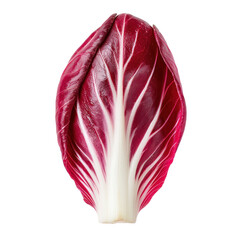 Obraz premium Fresh vegetable radicchio harvest in a vibrant garden setting close-up view of nature's beauty