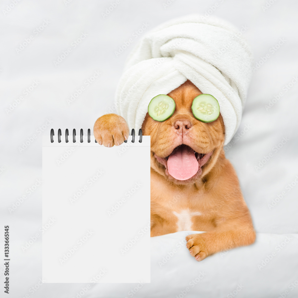 Aufkleber Funny Mastiff puppy with towel on it head and with a piece of cucumber on it eyes relaxing on the bed at home and showing empty list. Top down view. Empty space for text
