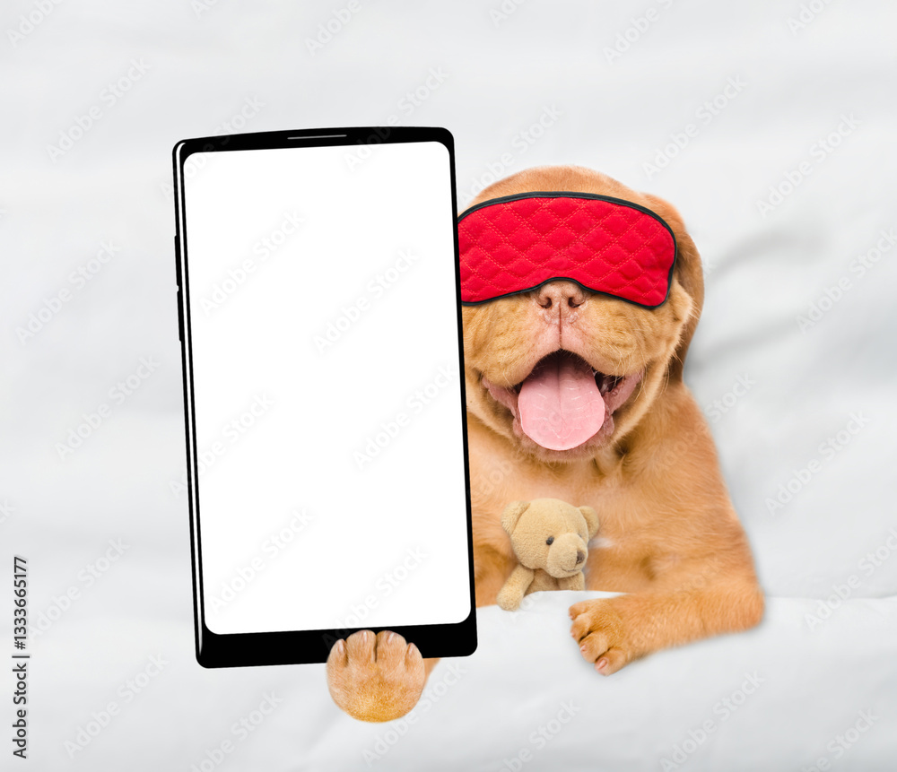 Aufkleber Happy Mastiff puppy with mask for sleep lying with favorite toy beat on a bed at home and showing big smartphone with white blank screen in it paw. Top down view. Empty space for text