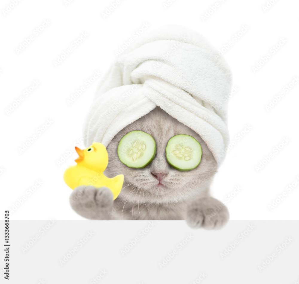 Aufkleber cute kitten with towel on it head and with slices of cucumber on it eyes looks above blank white ban