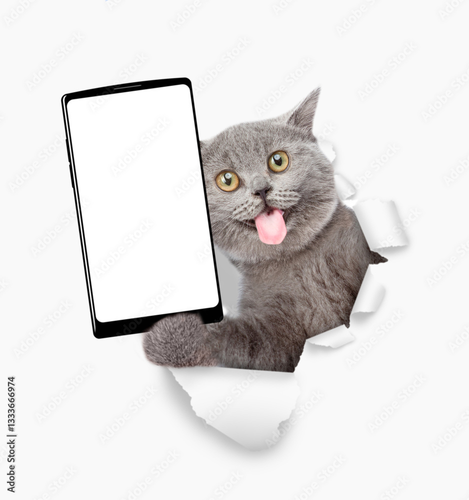 Aufkleber surprised cat with tongue out holding big smartphone with white blank screen through torn white pape