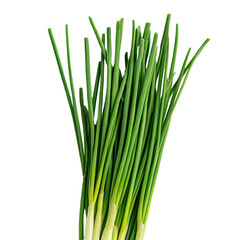 Fototapeta premium Culinary inspiration from fresh green onions a close-up of local organic farms