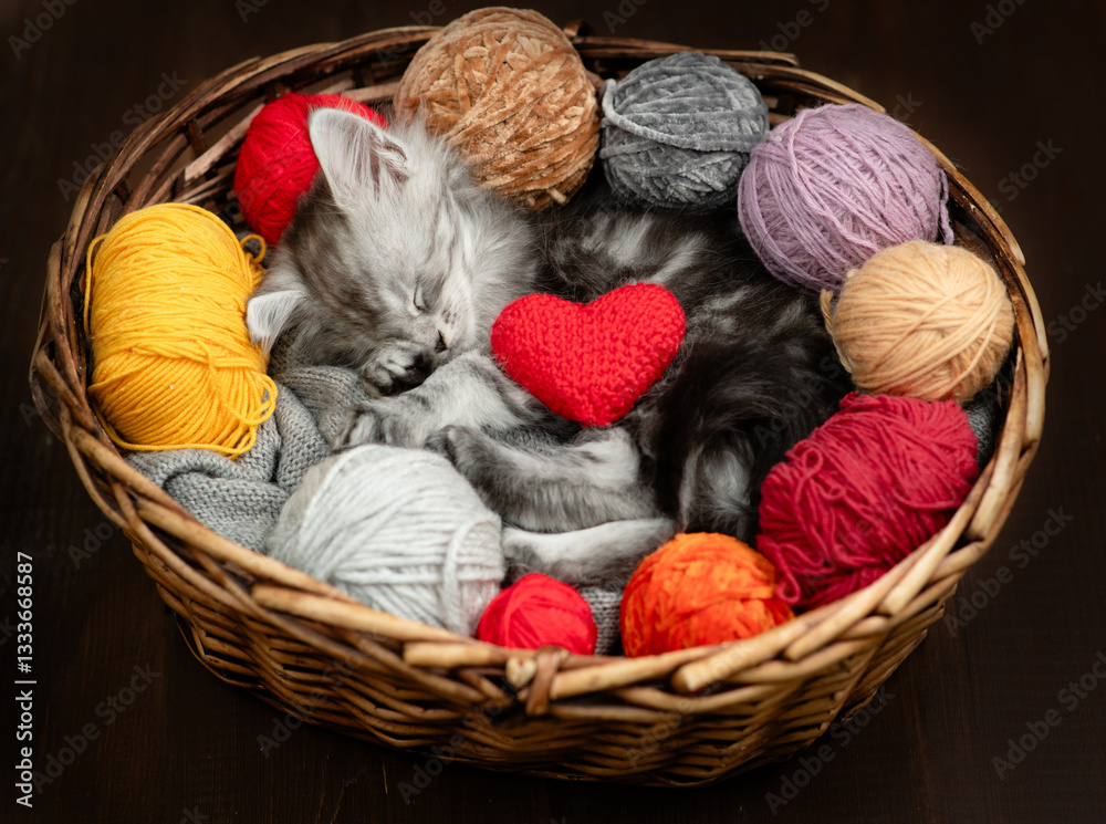 Aufkleber cozy maine coon kitten hugs ball of thread and sleeps inside a basket with red heart and many clews 