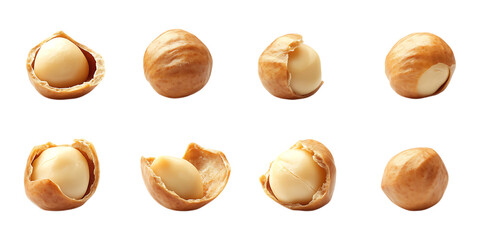 Pack Macadamia Nut Set on Transparent Background for Healthy Snack Branding, Nutrition Art, and Food Illustrations