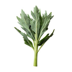 Obraz premium Freshly harvested vegetable greens farm field high-quality image natural setting close-up nutritional benefits