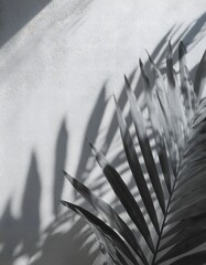 Naklejka premium Minimalist Plant Leaf Shadow on Cement Background