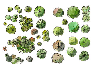 tree top watercolor hand drawn view isolated on white background for landscape plan and architecture layout drawing, elements for environment and garden © feipco