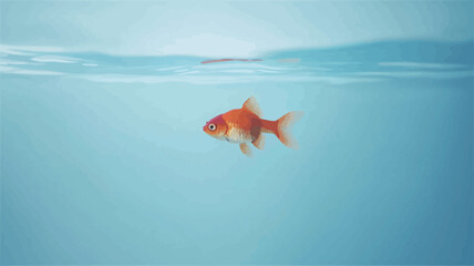 Obraz premium An image of a single orange goldfish swimming in clear, light blue water. The waterline is visible, creating a subtle horizontal division in the frame. The goldfish is positioned slightly