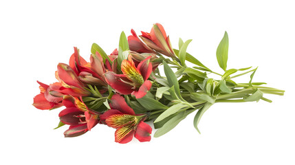 Fototapeta premium A bunch of red and yellow flowers are arranged in a bouquet