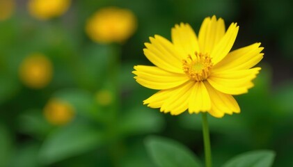 Obraz premium Bright yellow flower with a slender green stem in a garden, yellow, plant, flowers