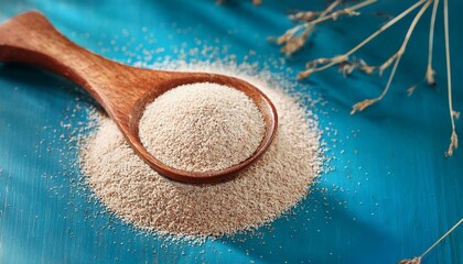 psyllium isabgol husks heap organic with wooden spoon psyllium husk or isabgol soluble fiber derived from seeds of plantago ovata usually mixed with water psyllium seeds husk organic plantago plant