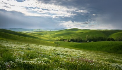 Obraz premium serene spring rural landscape features green meadow on rolling hills adorned with wildflowers under cloudy sky