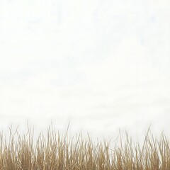 Fototapeta premium Serene Sky Over Golden Grassland Field