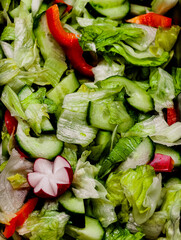 Healthy fresh salad with crisp lettuce, sliced cucumber, red bell pepper, and radish garnish. Organic vegetables, diet-friendly, vegan meal, farm-to-table, fresh ingredients, clean eating