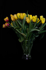 greeting card template, yellow tulips on a black background. free space for text. vertical photo. layout, banner, wallpaper